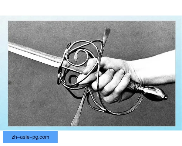 击剑历史概览及发展演变分析