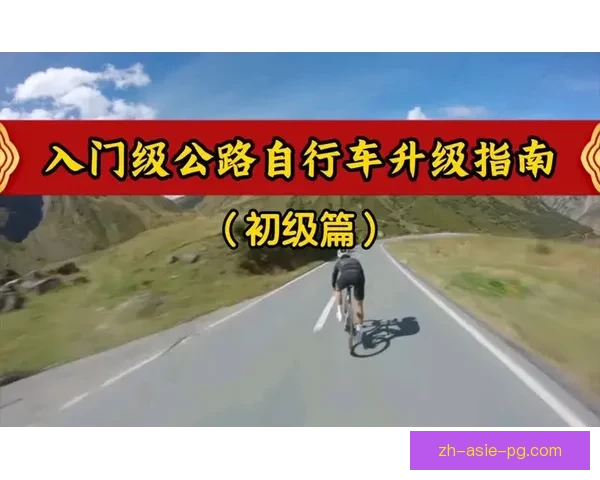 学会自行车：入门指南